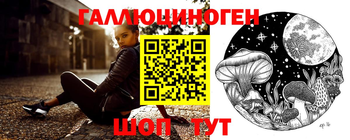 Псилоцибиновые грибы прущие грибы  Вход с VPN  Псилоцибиновые грибы Psilocybine cubensis  закладка  Новокубанск 