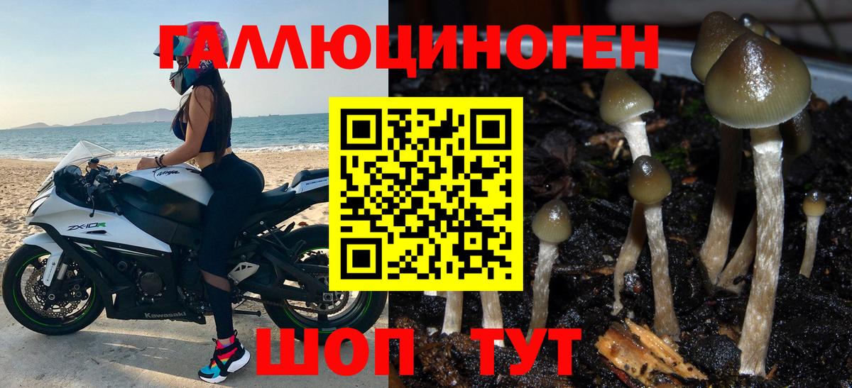 Галлюциногенные грибы мицелий Новокубанск